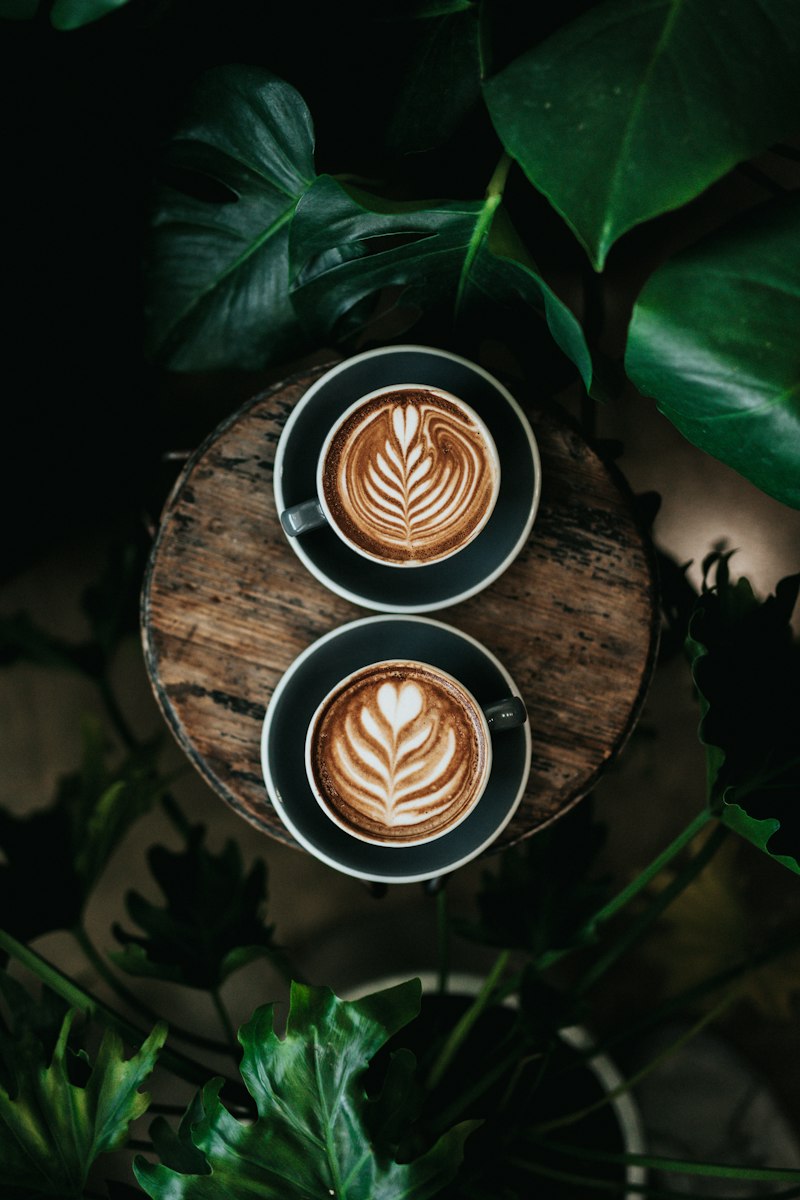 Coffee cupping and roast craft